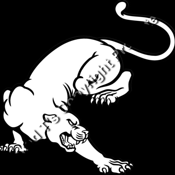 ES3panther02bw Thumbnail