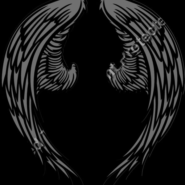 ES3wing06clr Thumbnail