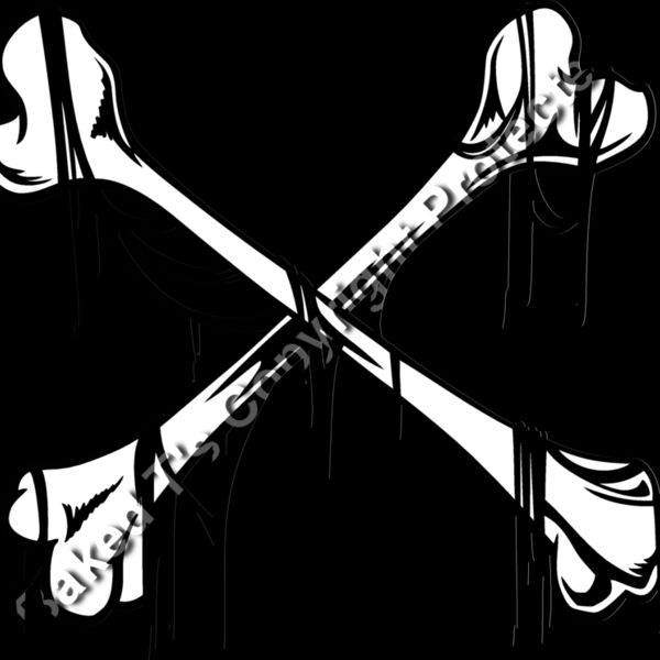 ES3bones06bw Thumbnail