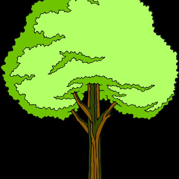 es3tree11clr Thumbnail