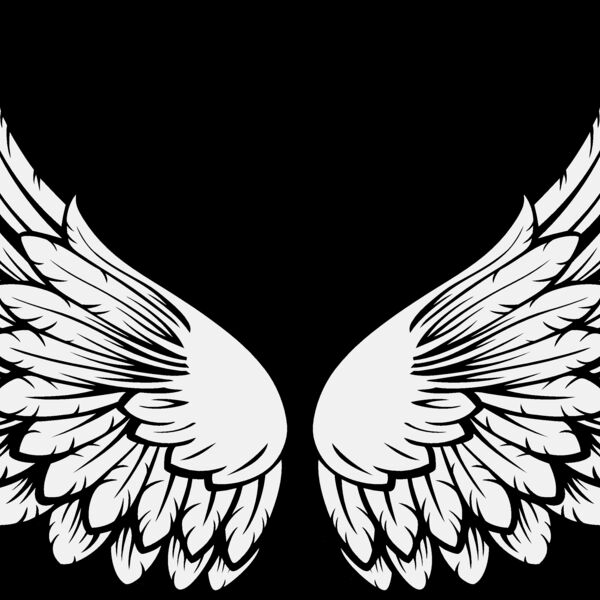 ES3wing15clr Thumbnail