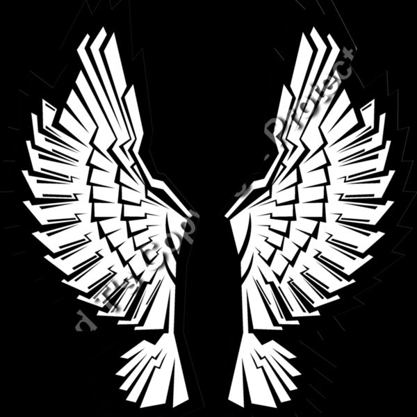 ES3wing12bw Thumbnail