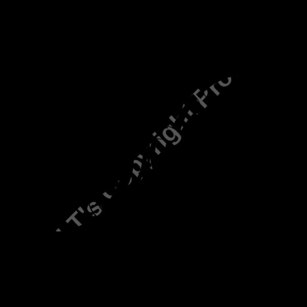 ES3tribal12bw Thumbnail