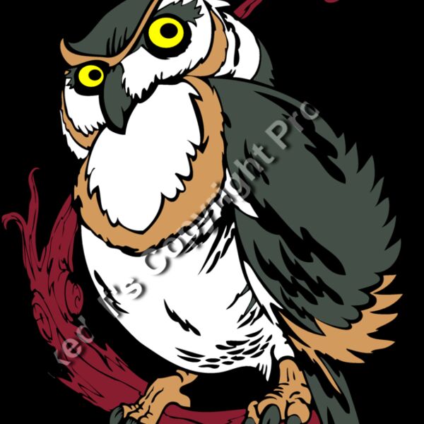 ES3owl02clr Thumbnail