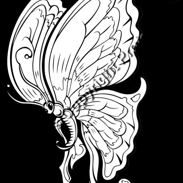 ES3butterfly03BW Thumbnail