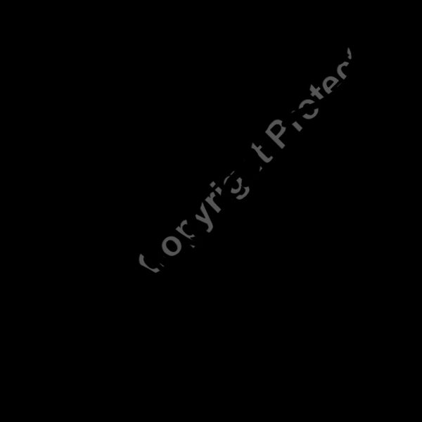 ES3tribal08bw Thumbnail