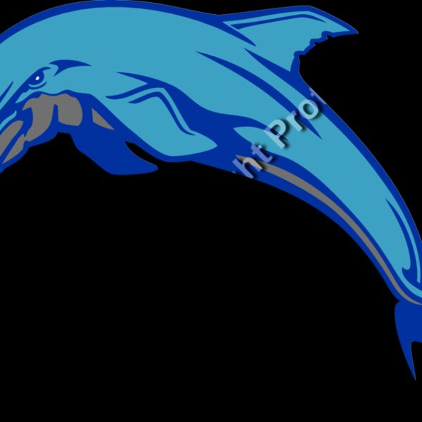 ES3dolphin03clr Thumbnail