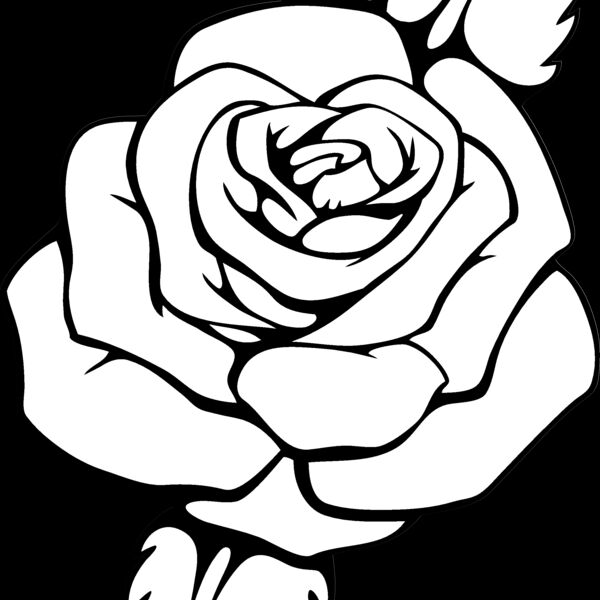 es3flower08bw Thumbnail