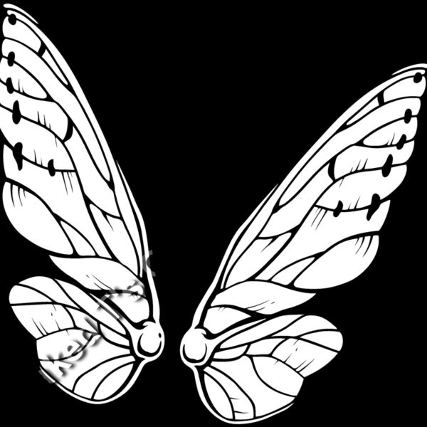 ES3wing04bw Thumbnail