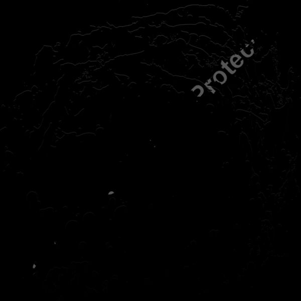 ES3splat11bw Thumbnail