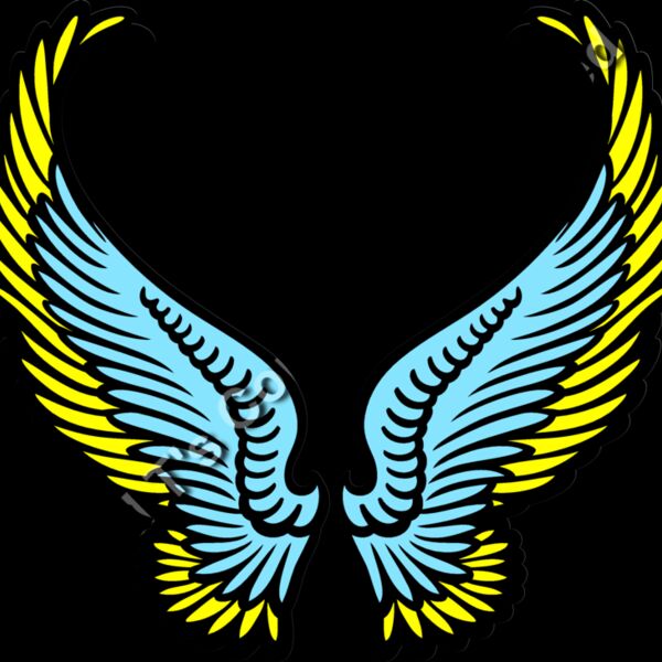 ES3wing07clr Thumbnail