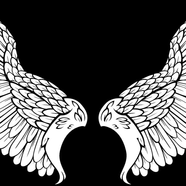 ES3wing11bw Thumbnail