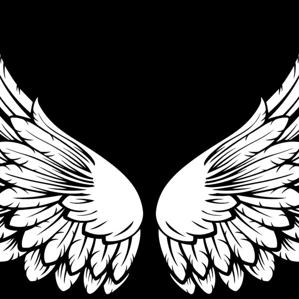 ES3wing15bw Thumbnail