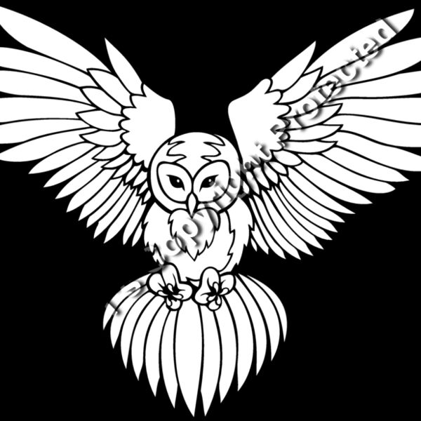 es3owl03bw Thumbnail