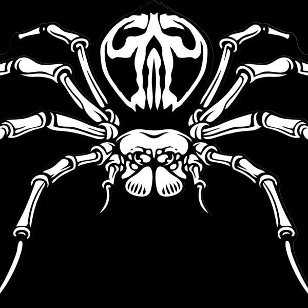 es3spider04bw Thumbnail