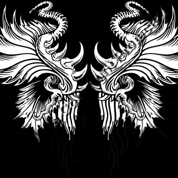 ES3wing13bw Thumbnail