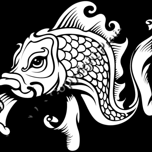 ES3asiankoi02bw Thumbnail