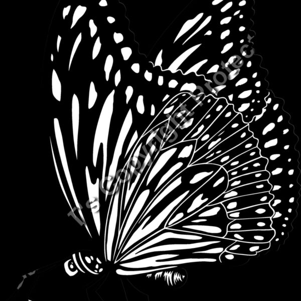 ES3butterfly01bw Thumbnail