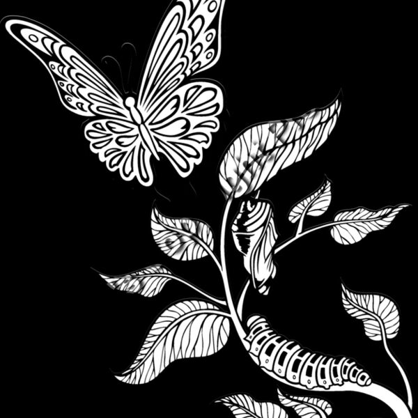 ES3butterfly05bw Thumbnail