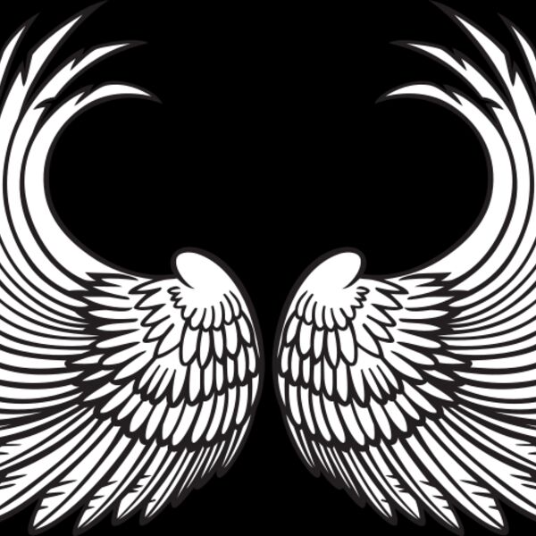 ES3wing03bw Thumbnail