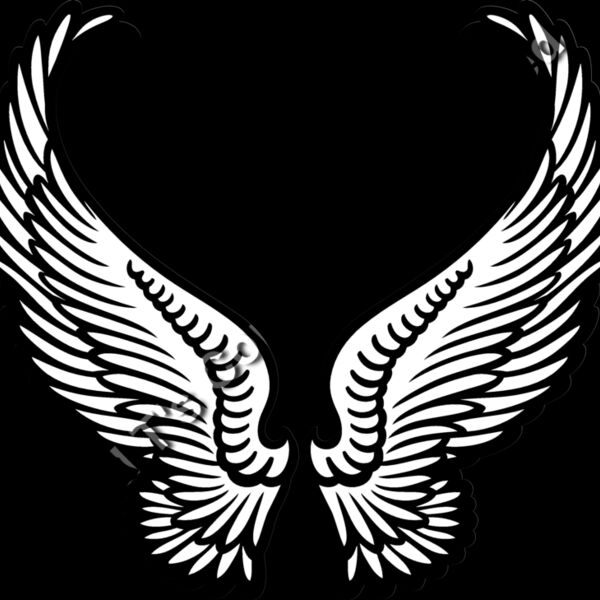 ES3wing07bw Thumbnail