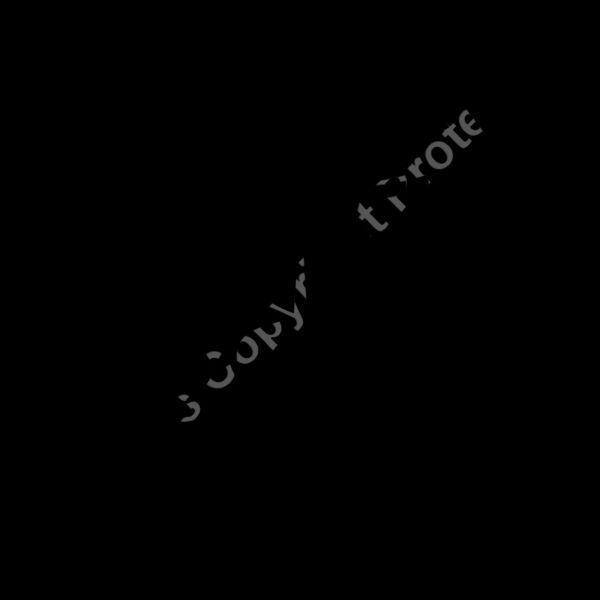 ES3tribal03bw Thumbnail