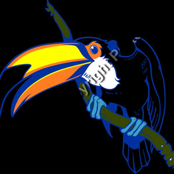 ES3toucan01clr Thumbnail