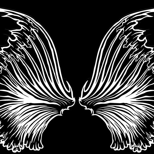 ES3wing05bw Thumbnail