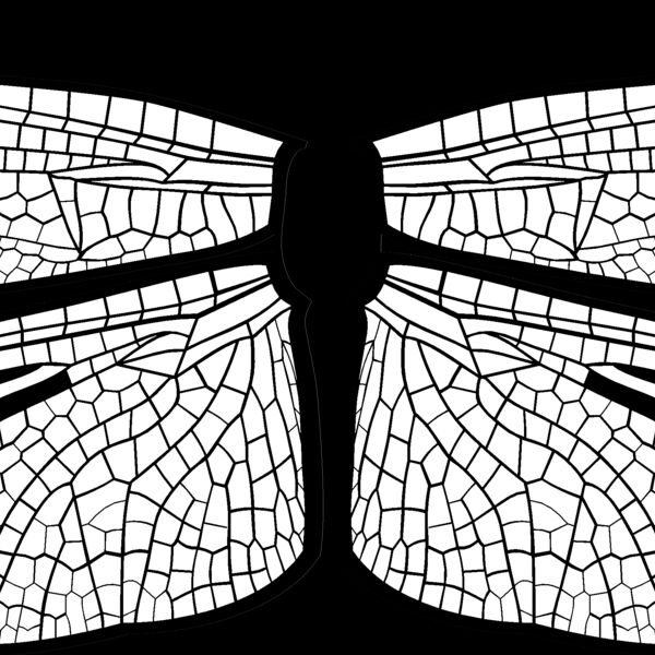 ES3wing14bw Thumbnail