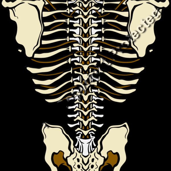 ES3bones01clr Thumbnail