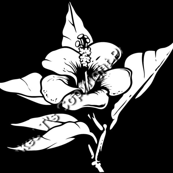 ES3tropical01bw Thumbnail