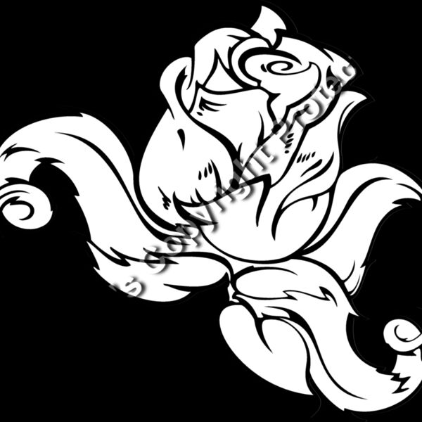 ES3rose04bw Thumbnail