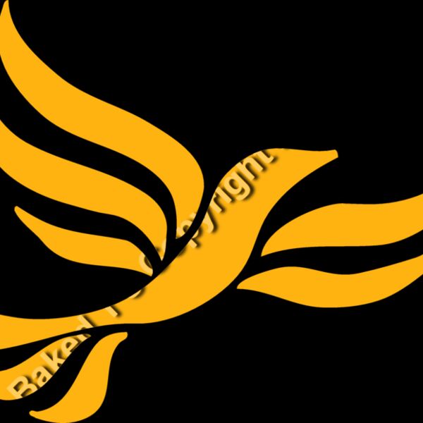 LiberalDem Thumbnail
