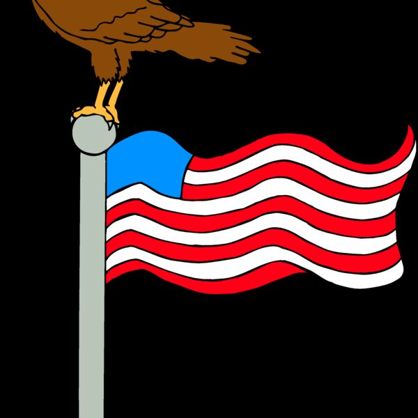 EAGLENFLAG1 Thumbnail