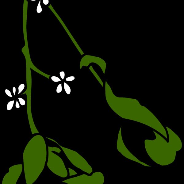 mistletoe2 Thumbnail