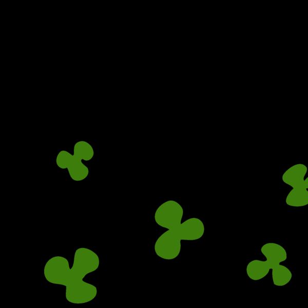 CloverTrail1 Thumbnail