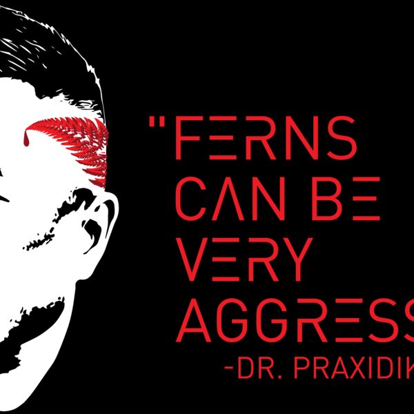 Ferns Shirt Design 1 Thumbnail