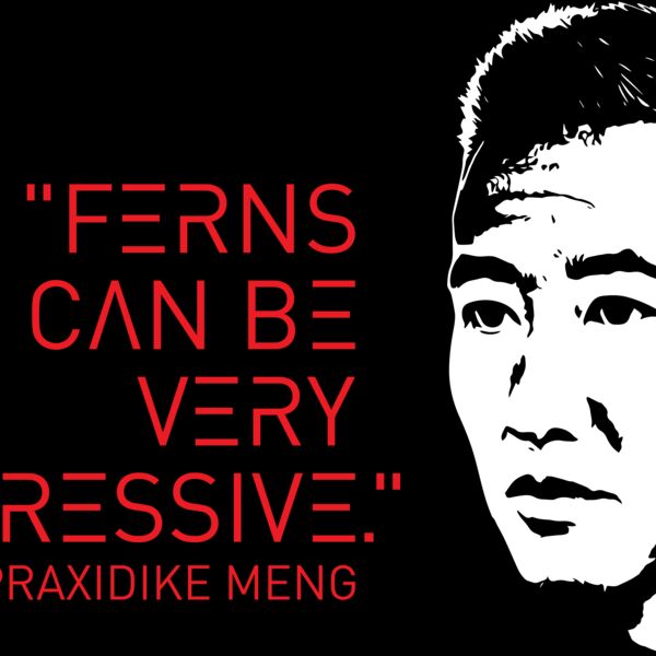 Ferns Shirt Design 2 Thumbnail