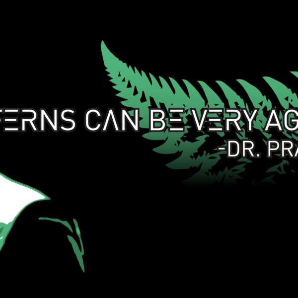 Ferns Shirt Design 3 Thumbnail