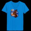 Ladies’  Junior Fine Jersey V-Neck Longer Length T-Shirt Thumbnail