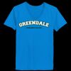 Ladies’  Junior Fine Jersey V-Neck Longer Length T-Shirt Thumbnail