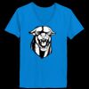 Ladies’  Junior Fine Jersey V-Neck Longer Length T-Shirt Thumbnail