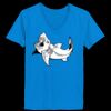 Ladies’  Junior Fine Jersey V-Neck Longer Length T-Shirt Thumbnail