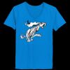 Ladies’  Junior Fine Jersey V-Neck Longer Length T-Shirt Thumbnail