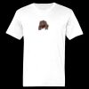 Ringspun Cotton Soft Style T-Shirt Thumbnail