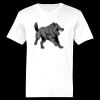 Ringspun Cotton Soft Style T-Shirt Thumbnail