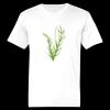 Ringspun Cotton Soft Style T-Shirt Thumbnail
