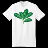 XXL Hanes Tagless T Thumbnail