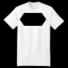 XXL Hanes Tagless T Thumbnail
