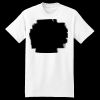 XXL Hanes Tagless T Thumbnail
